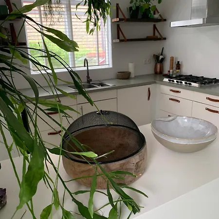 Botanico - Family House Vakantiehuis Egmond aan Zee