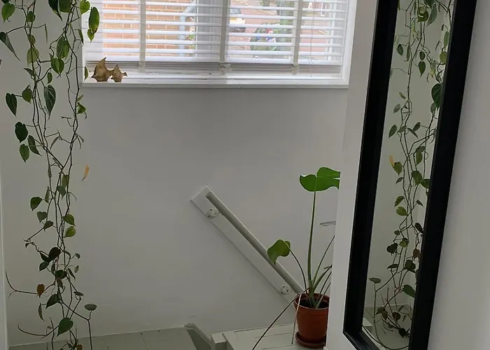 Botanico - Family House *