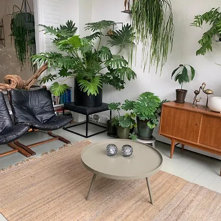 Feriehus Botanico - Family House