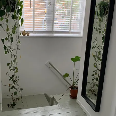 Botanico - Family House *