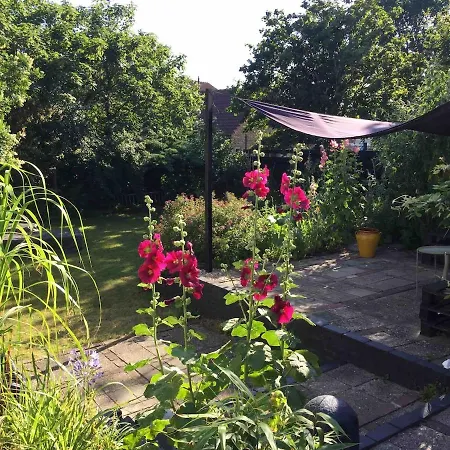 Botanico - Family House Egmond aan Zee