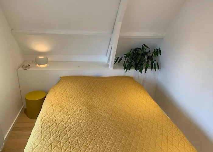 Botanico - Family House Egmond aan Zee