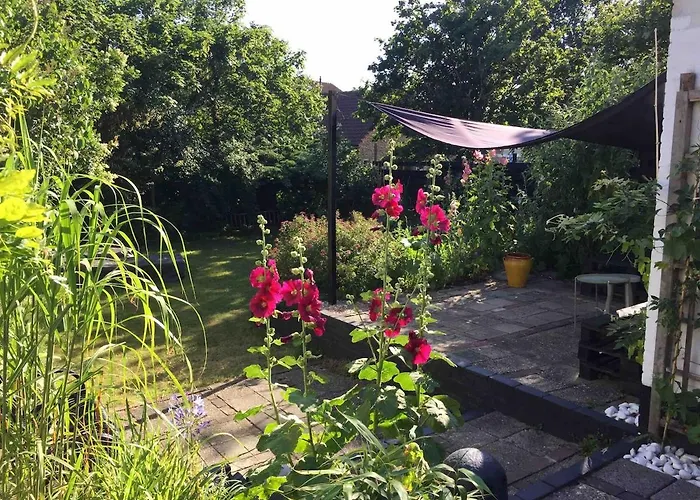 Botanico - Family House Egmond aan Zee